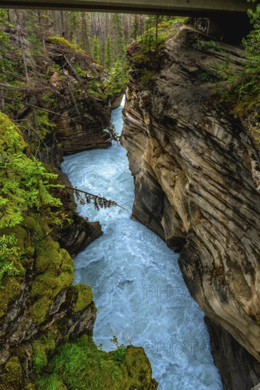 Powerful turquoise water flows through a narrow gorge carved by athabasca falls in jasper national park. Alberta. Canada. Creating a breathtaking display of nature's force and beauty beneath a bridge