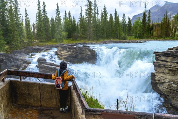 Tourist in a yellow raincoat and backpack admiring the stunning view of athabasca falls, a powerful waterfall in jasper national park, alberta, surrounded by lush forest