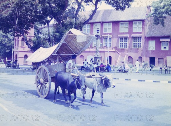 Ox cart passing historic buildings of Stadthuys or Dutch Town Hall, Red Square, Malacca, Malaya, Malaysia, south east Asia, early 1960s