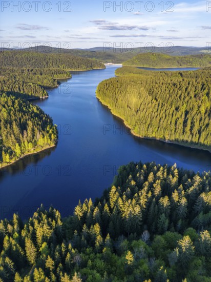 Aerial view, drone photo: spruce forest and beech trees at the Eibenstock drinking water reservoir, Ore Mountains, Saxony, Germany