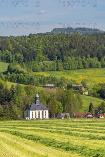 Church and houses in the village of Schwarzbach, in the back forest and blooming meadows, town of Elterlein, Ore Mountains, Saxony, Germany
