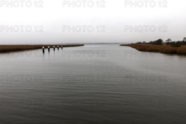 Lagoon area at the Meinigenbrücke near Zingst, Fischland-Darß-Zingst, Western Pomerania Lagoon Area National Park, Mecklenburg-Western Pomerania, Germany