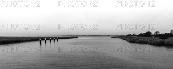 Lagoon landscape at the Meinigenbrücke near Zingst, black and white photo, panorama, Fischland-Darß-Zingst, Western Pomerania National Park, Mecklenburg-Western Pomerania, Germany