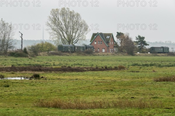 Former Bresewitz station with old railroad cars, near Zingst, Mecklenburg-Western Pomerania, Germany