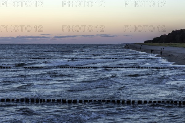 Beach, grooms in the sea, people on the beach, evening light, Zingst, Fischland-Darß-Zingst, Western Pomerania National Park, Mecklenburg-Western Pomerania, Germany