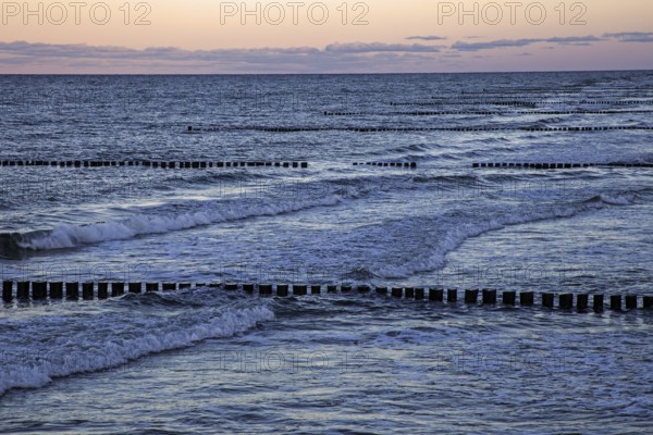 Groows in the sea, evening light, Zingst, Fischland-Darß-Zingst, Western Pomerania Lagoon Area National Park, Mecklenburg-Western Pomerania, Germany