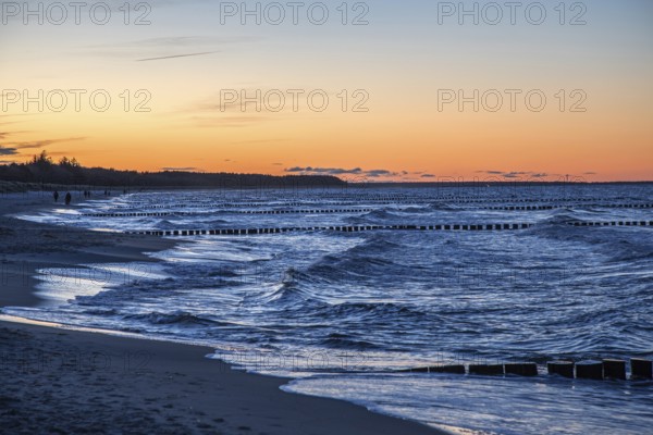 Beach and groves in the sea, evening light, sunset, Zingst, Fischland-Darß-Zingst, Western Pomerania Lagoon Area National Park, Mecklenburg-Western Pomerania, Germany