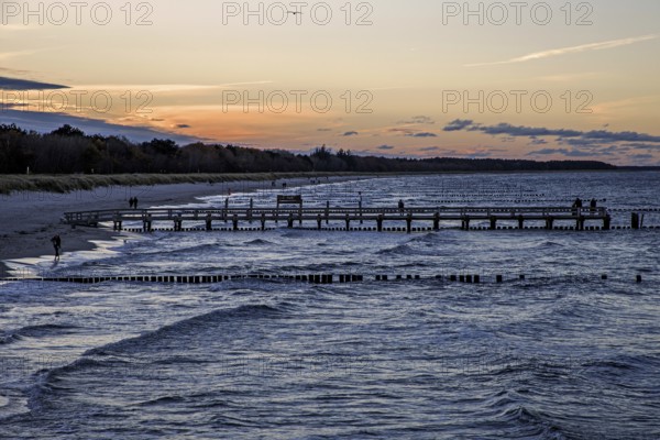 Beach, groves in the sea, evening light, Zingst, Fischland-Darß-Zingst, Western Pomerania Lagoon Area National Park, Mecklenburg-Western Pomerania, Germany