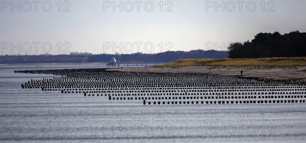 View from the pier to the beach and groves, panorama, Prerow, Fischland-Darß-Zingst, Western Pomerania Lagoon Area National Park, Mecklenburg-Western Pomerania, Germany