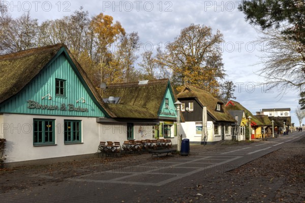 Restaurants and souvenir houses on the way to the pier, Prerow, Fischland-Darß-Zingst, Western Pomerania Lagoon Area National Park, Mecklenburg-Western Pomerania, Germany