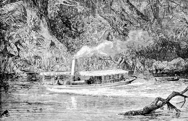 Research trip on a river in New Guinea, steamboat, sailing, rowing boat, smoke, tropical climate, rainforest, colonialism, Europeans, research, small river, riverbank, historical illustration, 19th century