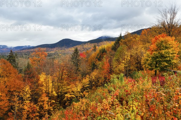 Scenic View, Panoramic View, Fall Leaves, Indian Summer, Fall Weather, Sugar Hill Observation Deck, Kancamagus Highway, White Mountain, New Hampshire, New England, USA