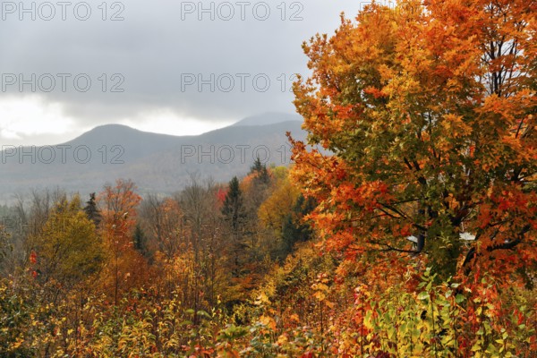 Fall Leaves, Indian Summer, Fall Weather, Sugar Hill Observation Deck, Kancamagus Highway, White Mountain, New Hampshire, New England, USA