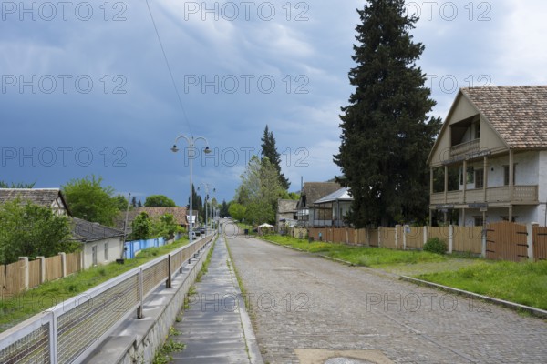 Rural paved road with wooden houses and tall trees under a cloudy sky, village founded by Caucasian Germans, Asureti, Asureti, Elizabeth Valley, Lower Kartli region, Georgia