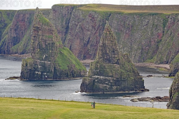 Cliffs with distinctive rock formations and two hikers in the foreground, Duncansby Stacks, John O' Groats Scotland, Great Britain