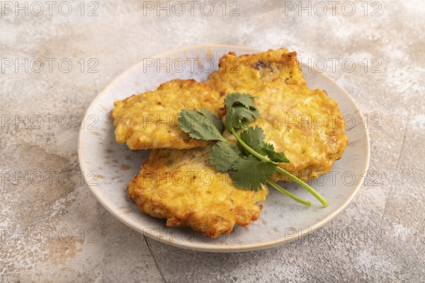 Fried crispy Chicken pancakes on brown concrete background. side view, close up