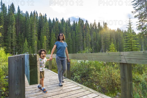 Mother and her son are holding hands and walking along a wooden bridge, surrounded by lush green forest in banff national park, with the warm sunlight filtering through the trees