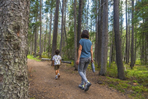 Mother and son enjoying a leisurely hike along a picturesque forest trail in banff national park, surrounded by lush greenery and towering trees, creating a serene and memorable outdoor experience