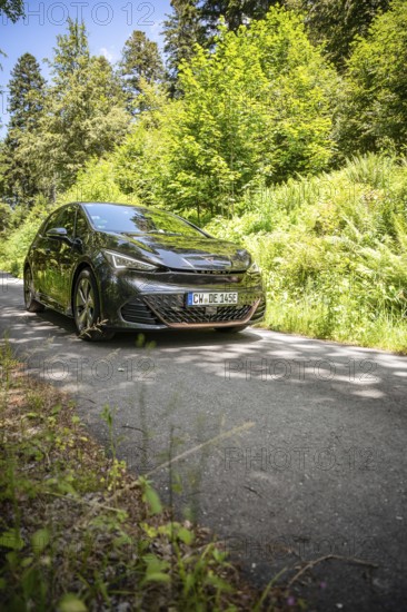 Car driving on narrow forest road surrounded by thick greenery and sunlight, Deer e-car sharing, Cupra electric car, Germany