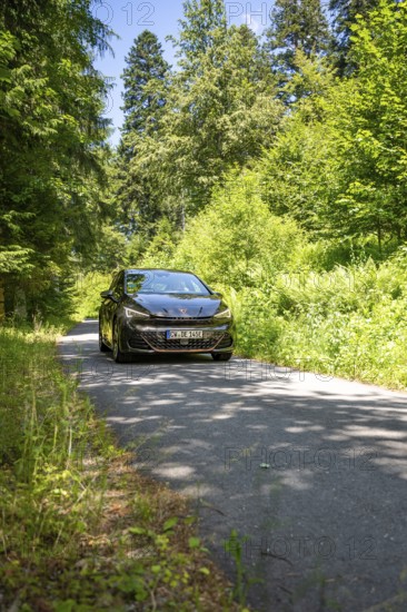 Black car driving on a narrow road between tall, green trees in the forest, deer e-car sharing, Cupra electric car, Germany