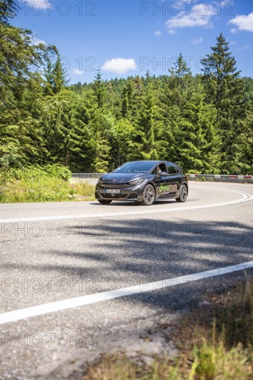 A black car drives on a winding road through a green forest on a sunny summer day, deer e-car sharing, Cupra electric car, Black Forest, Germany