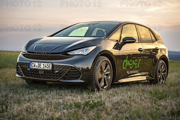 Black car in a meadow at sunset with reflections on the paint, Deer e-car sharing, Cupra electric car, Germany