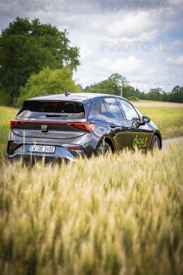Car driving on a country road through a green field, Deer E-Car Sharing, Cupra electric car, Germany