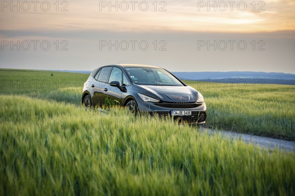 Black car in the middle of a green field at sunset, deer e-car sharing, Cupra electric car, Germany