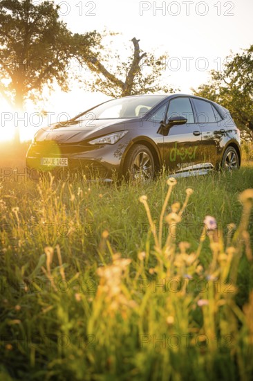 Black car in front of sunset in a meadow, deer e-car sharing, Cupra electric car, Germany