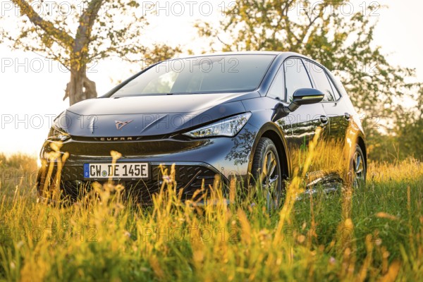 Black car standing in a meadow in sunlight next to a tree, Deer E-Car Sharing, Cupra electric car, Germany