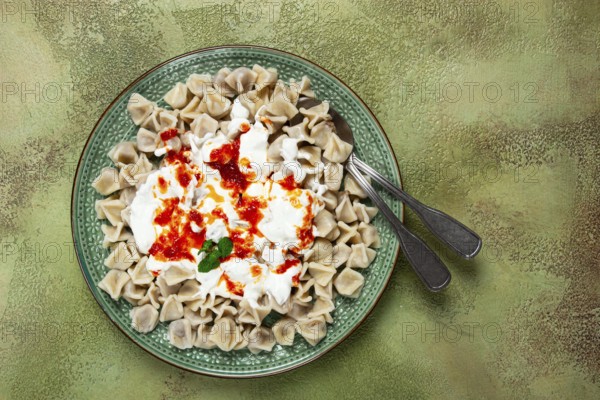 The dish features a generous serving of Turkish dumplings topped with velvety yogurt and a drizzle of spicy red sauce, displayed on a beautifully crafted plate with a green accent