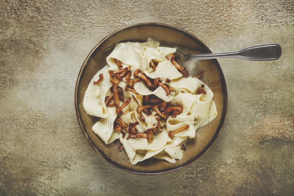 Pasta papardelle, in creamy garlic sauce, with mushrooms, traditional Italian cuisine, pasta carbonara, homemade, no people