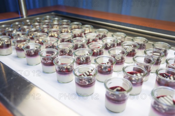 Bright dessert glasses with berries and chocolate decoration, Christmas party Dekra Congresshotel Wart, Calw district, Germany