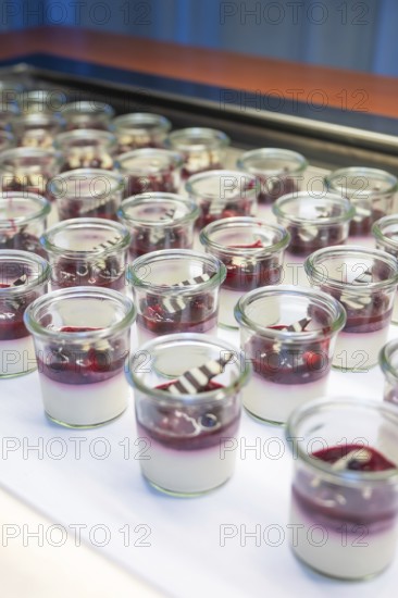 Modern desserts in small glasses, layered with berries, Christmas party Dekra Congresshotel Wart, Calw district, Germany