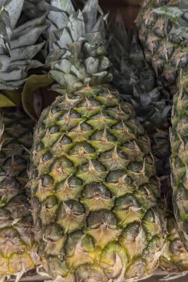 Tropical fruit pineapple on display from grocery store grocery store grocery store supermarket, Germany