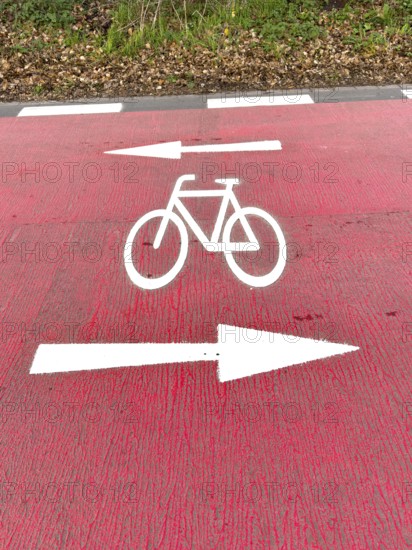 Signet of stylized bicycle symbol on wide red road of bicycle road, above including arrows for both directions of travel, Germany