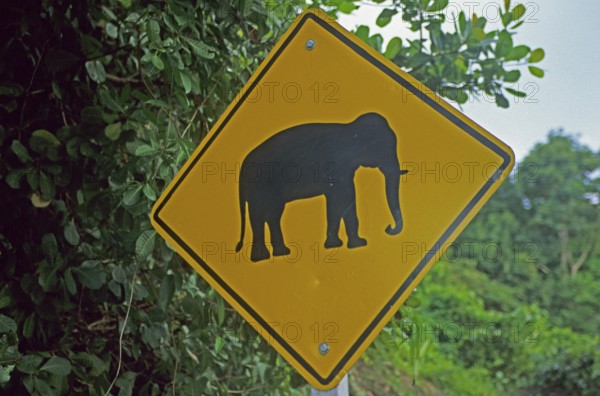 Elephant warning sign, Ko Phuket, Thailand, December 2002, vintage, retro, old, historic
