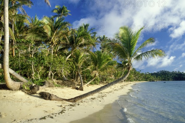 Beach on Tavewa Island, Yasawa Islands, Fiji