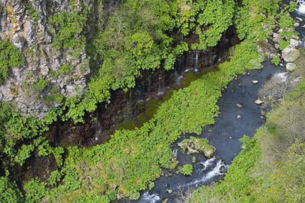 River snakes along rocks and thick vegetation, framed by steep cliffs, Dashbashi Gorge and Waterfall, Khrami River, Tsalka Nature Reserve, Kartli, Georgia