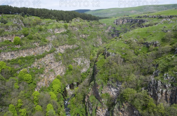 Extensive landscape with green vegetation and high rock walls, Dashbashi Gorge, Khrami River, Tsalka Nature Reserve, Kartli, Georgia