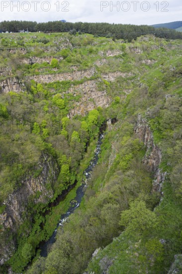 Deep gorge with dense vegetation and a narrow river, Dashbashi Gorge, Khrami River, Tsalka Nature Reserve, Kartli, Georgia