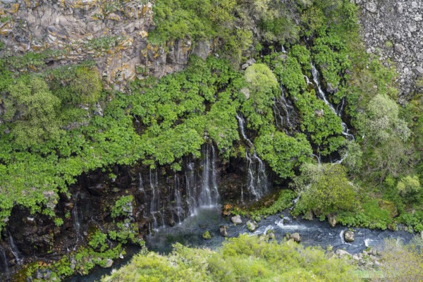 River and waterfalls surrounded by lush vegetation and rocky gorge, Dashbashi gorge and waterfall, Khrami River, Tsalka Nature Reserve, Kartli, Georgia