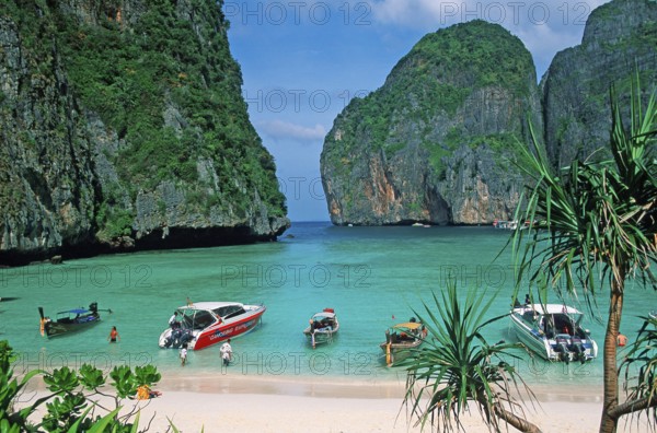 Palm tree and boats on Maya Bay beach, known from the movie The Beach, one year in front of the tsunami, Ko Phi Phi Le, Thailand, December 2002, vintage, retro, old, historic