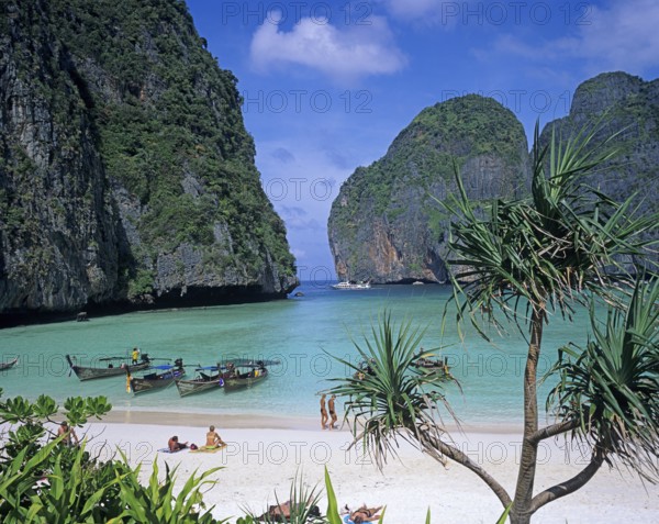 Palm tree and longtail boats on Maya Bay beach, known from the movie The Beach, one year in front of the tsunami, Ko Phi Phi Le, Thailand, December 2002, vintage, retro, old, historic
