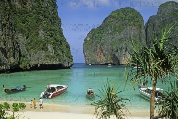 Palm tree, people, longtail boats on Maya Bay beach, known from the movie The Beach, one year in front of the tsunami, Ko Phi Phi Le, Thailand, December 2002, vintage, retro, old, historic