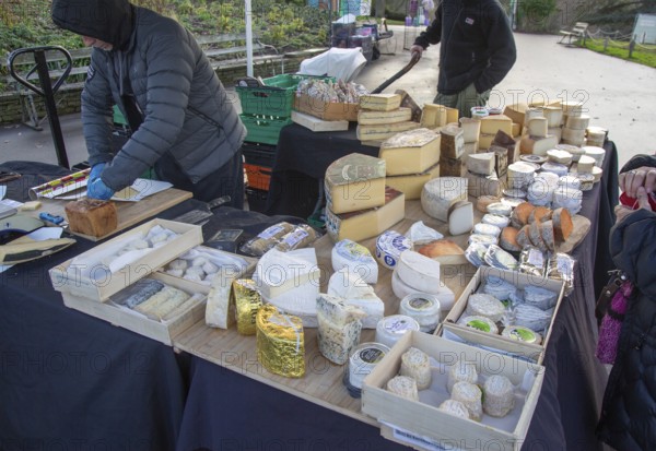 Cheese stall at winter market, Bandstand Terrace, Horniman museum gardens, Forest Hill, south London, England, UK December 2025