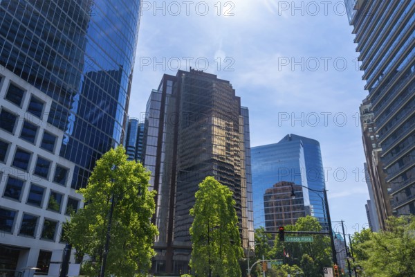 Sunlight illuminates the modern skyscrapers and lush green trees of vancouver's financial district, showcasing the city's vibrant urban landscape on a clear day