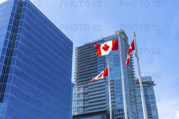 Three canadian flags are waving proudly against a backdrop of modern skyscrapers in downtown vancouver, british columbia, symbolizing national pride and urban progress