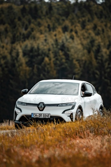 A white car in the middle of a colorful meadow landscape with trees in the background, Deer e-Carsharing, Renault Megane, Calw, Germany