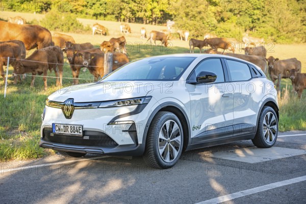 White car on a rural road next to a pasture with cows in the background, deer e-car sharing, Renault Megane, Calw, Germany
